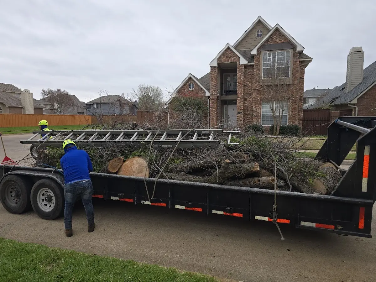 Expert Lot Clearing with proper safety equipment in Coleville